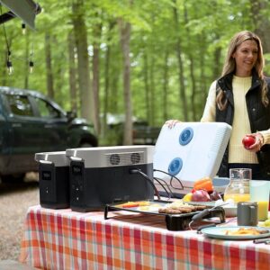 Ecoflow Delta Max 2000 (EU) travel powerstation outdoor