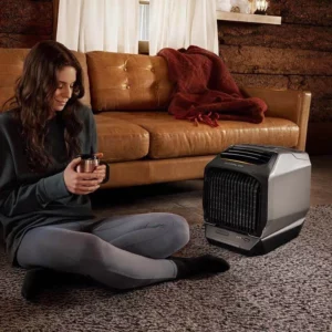 Ecoflow Wave 2 airco voor winter